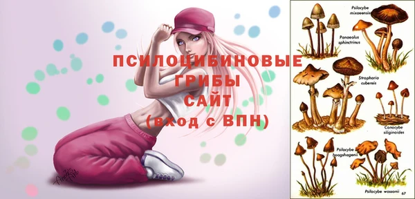 прущий лед Володарск