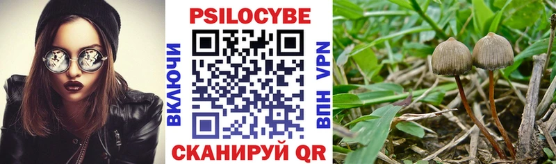 Псилоцибиновые грибы Magic Shrooms  ссылка на мегу как зайти  Воронеж  как найти закладки 