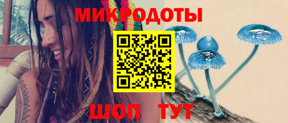 Галлюциногенные грибы мухоморы  Псилоцибиновые грибы MAGIC MUSHROOMS  где можно купить наркотик  Воронеж 